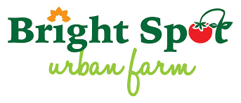 Bright Spot