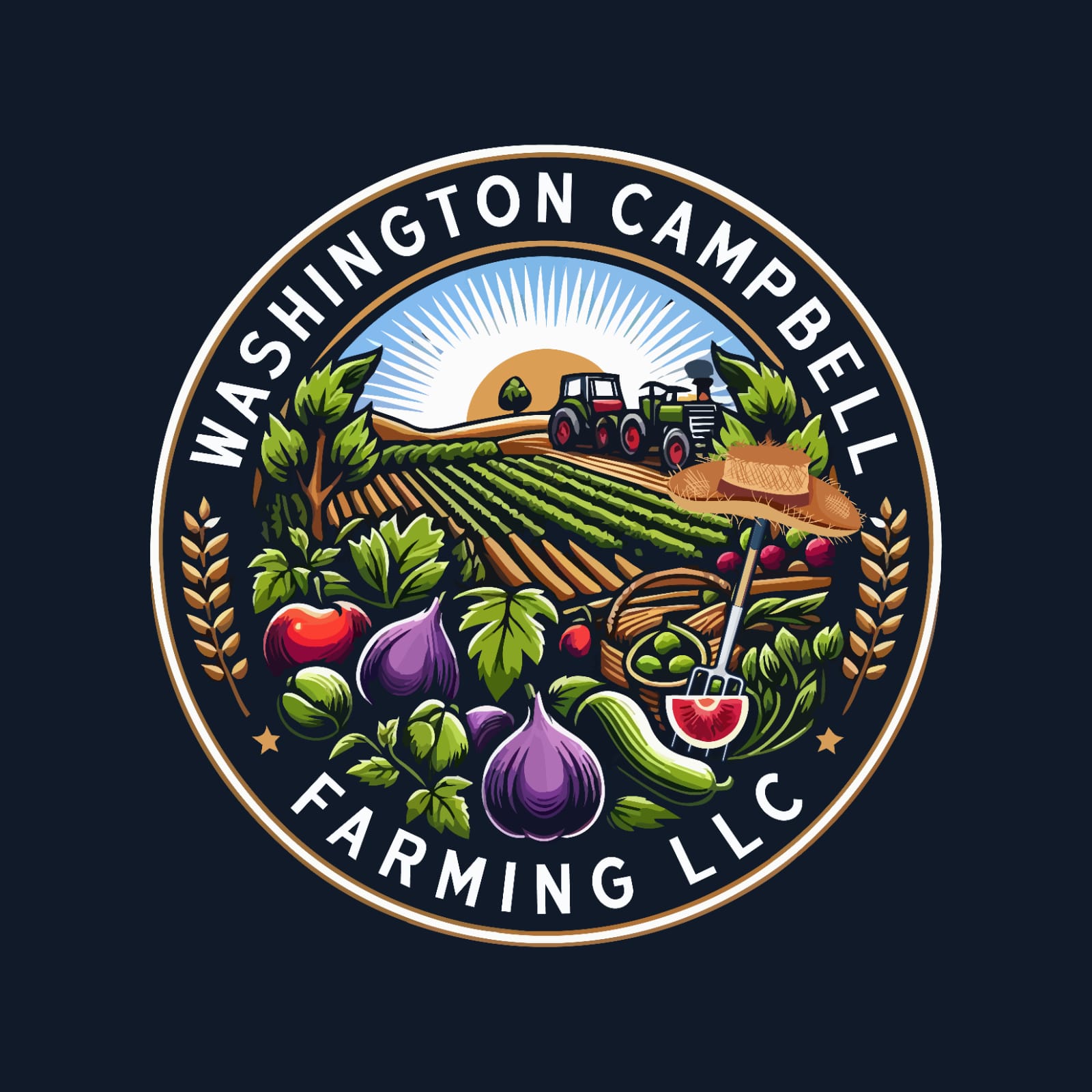 wash-campbell logo
